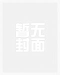 贵族魔法师